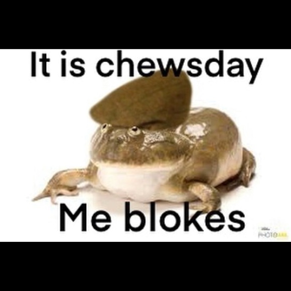 Meet your Posher, Hailee - Picture 1 of 1